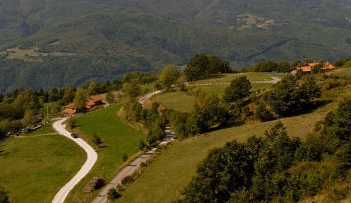 Agriturismo Il Serrino San Marcello Pistoiese Eksteriør bilde